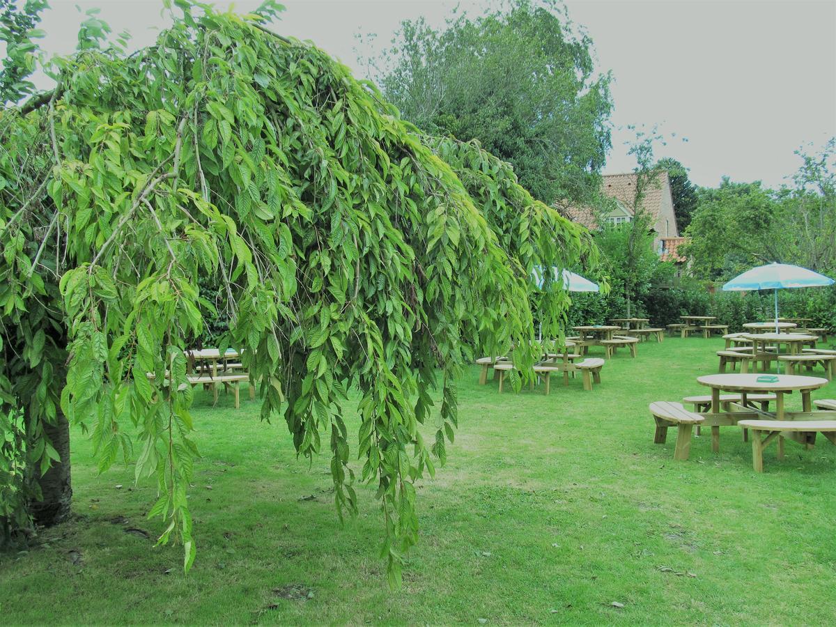 The Three Horseshoes Warham Exterior foto